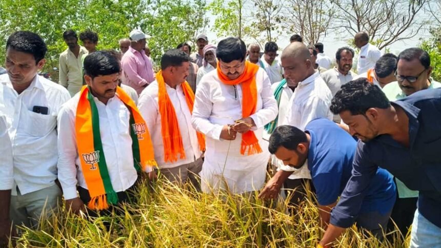 Hailstorm Crop Loss |