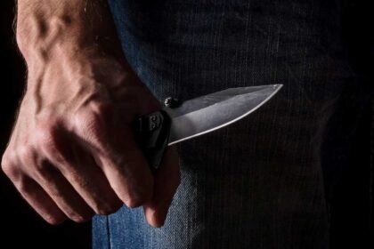 Friend stabbing incident