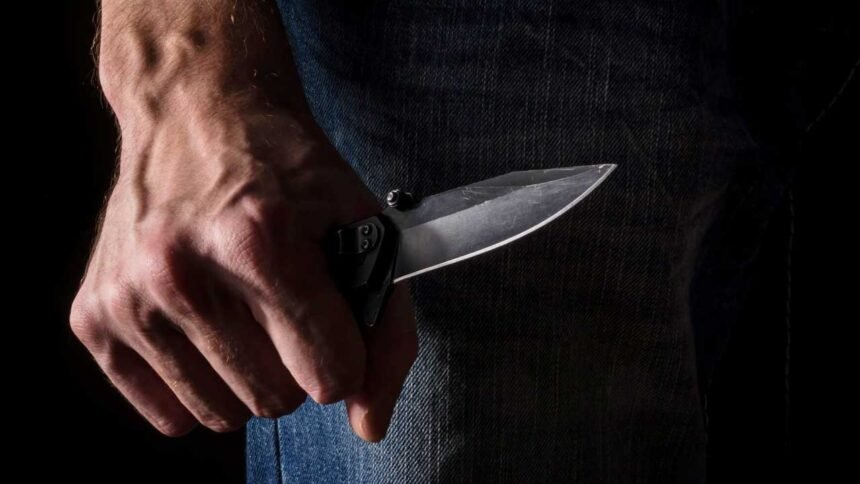 Friend stabbing incident