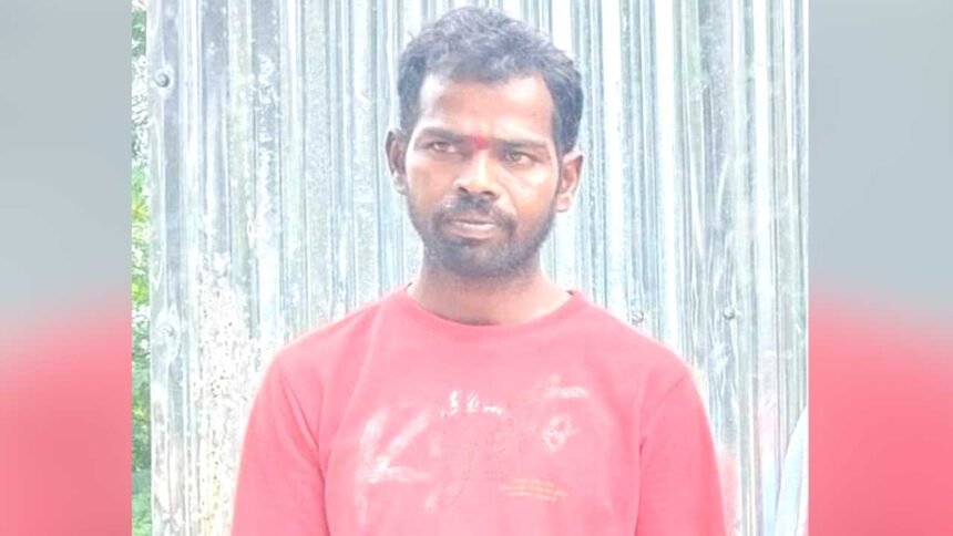 Nizamsagar Back Water |