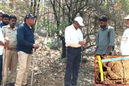 Tiger Movement Kamareddy |