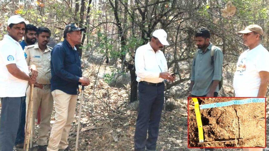 Tiger Movement Kamareddy |