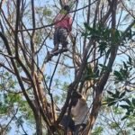 Pension Protest Incident |