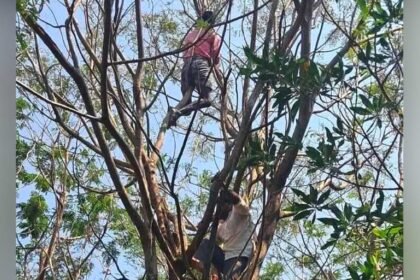 Pension Protest Incident |