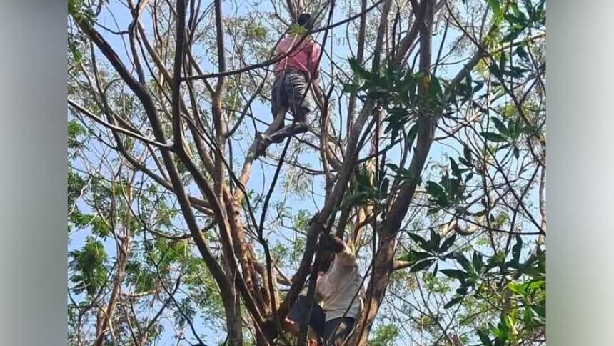 Pension Protest Incident |