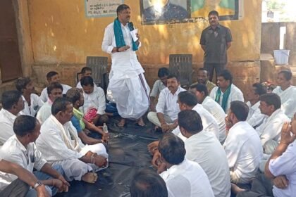 Certified Seeds Farming |