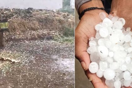 Bodhan Hailstorm Damage |