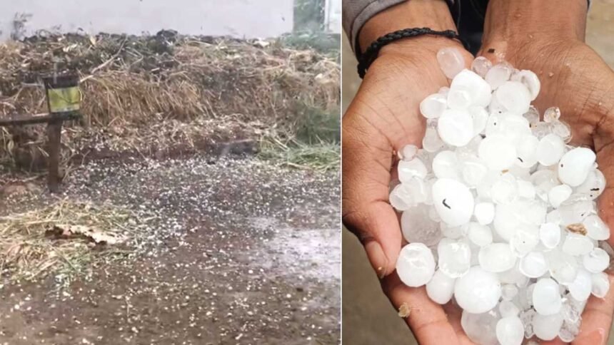 Bodhan Hailstorm Damage |