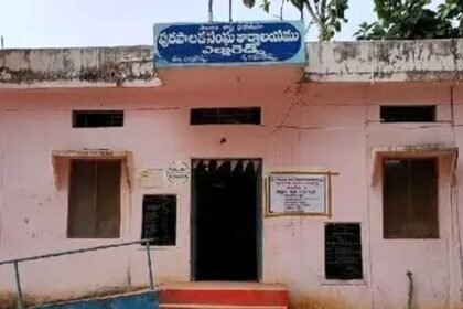 Co-option elections |